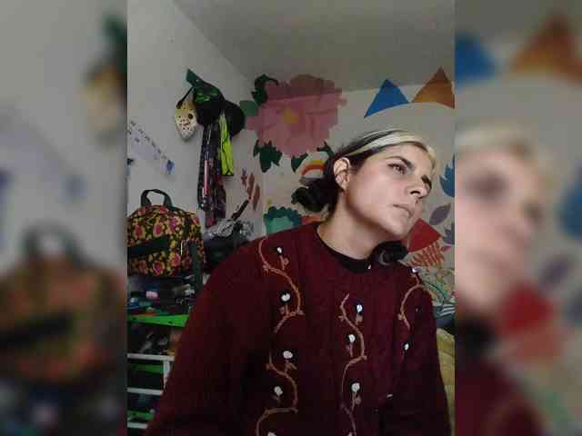 theplayful webcam