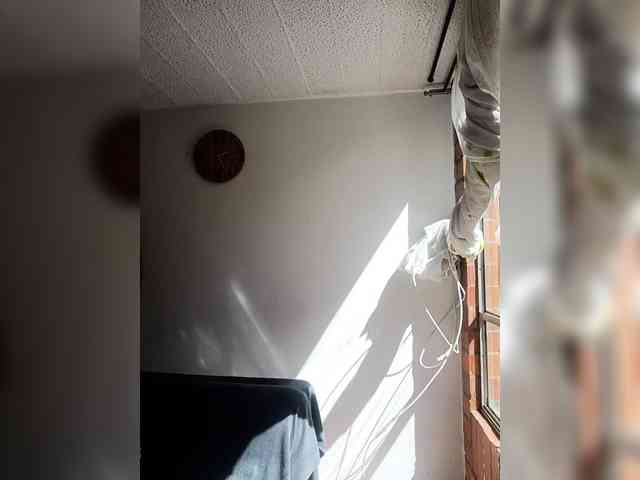 theplayful webcam