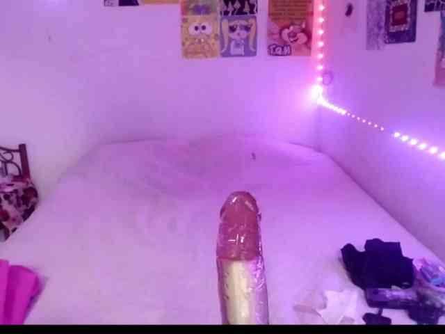 theplayful webcam