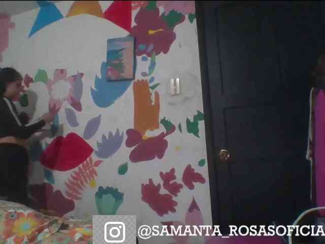 theplayful webcam