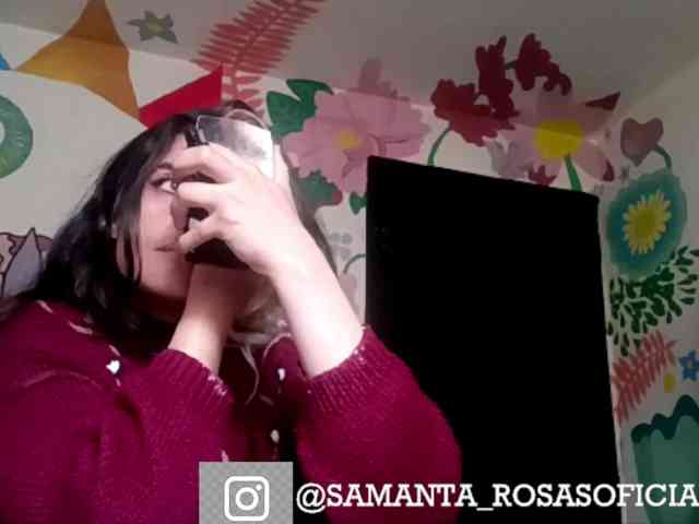 theplayful webcam