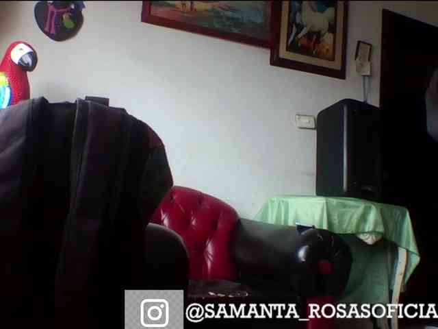 theplayful webcam