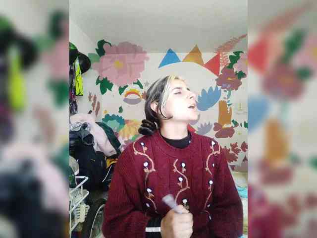 theplayful webcam