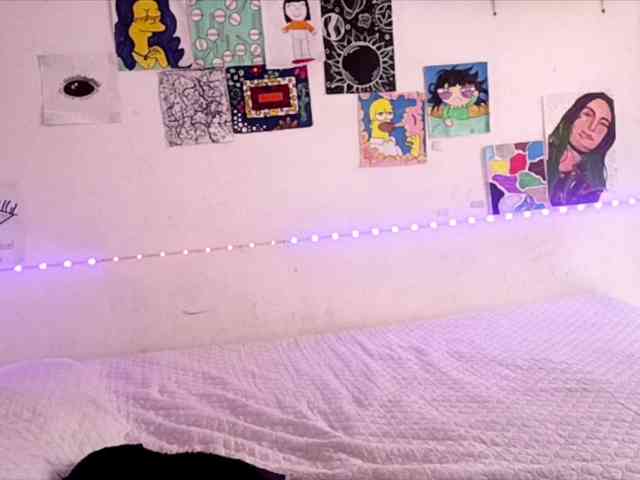 theplayful webcam