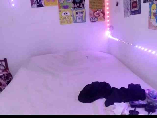 theplayful webcam