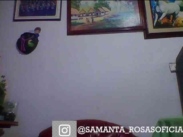 theplayful webcam