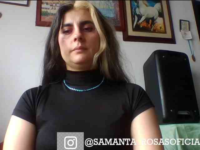 theplayful webcam