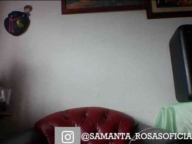 theplayful webcam