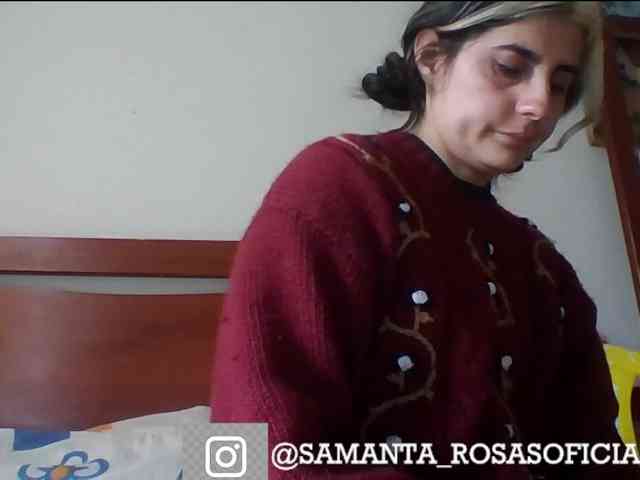 theplayful webcam