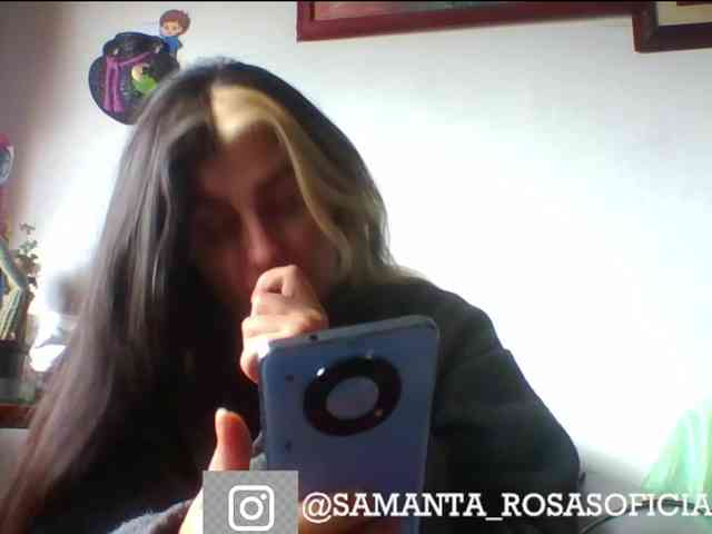 theplayful webcam