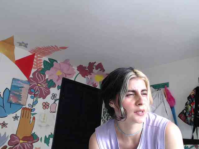 theplayful webcam