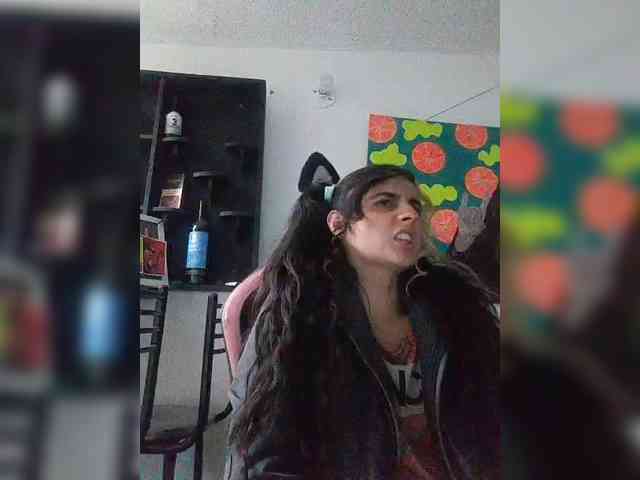 theplayful webcam