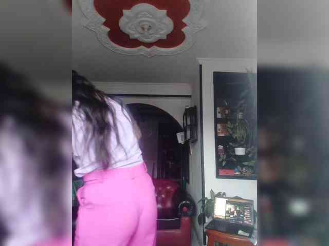 theplayful webcam