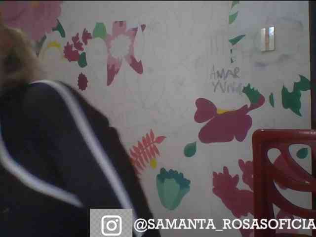 theplayful webcam