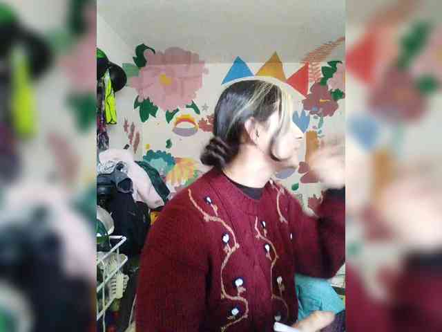 theplayful webcam