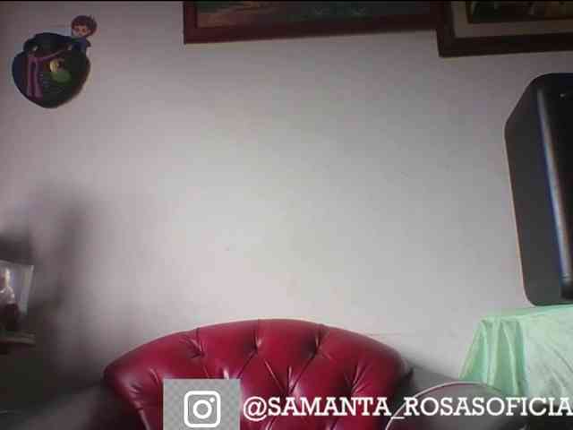 theplayful webcam
