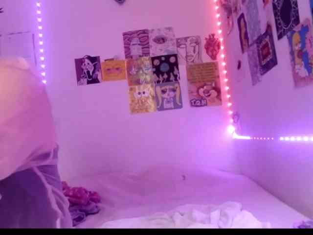 theplayful webcam