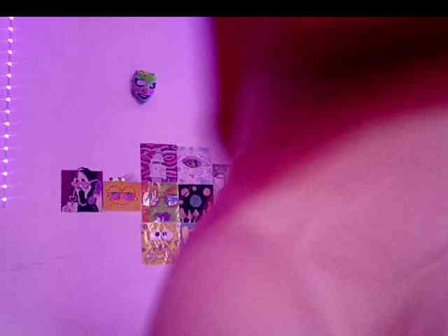 theplayful webcam