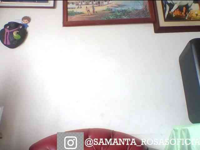 theplayful webcam