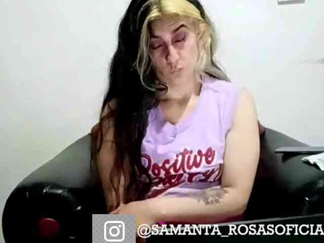 theplayful webcam
