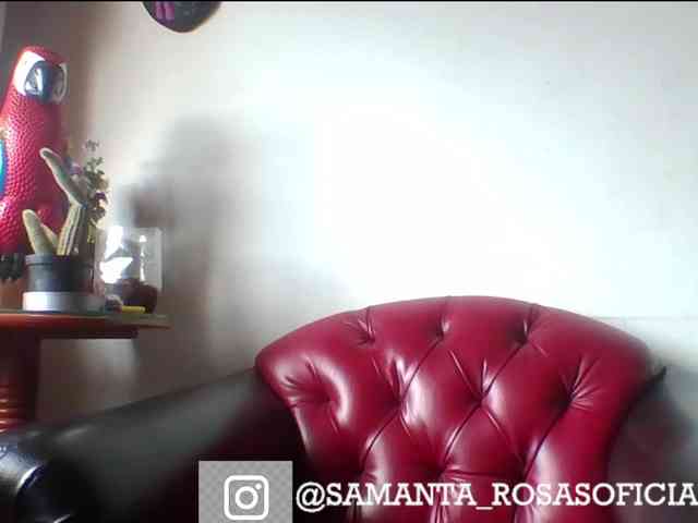 theplayful webcam