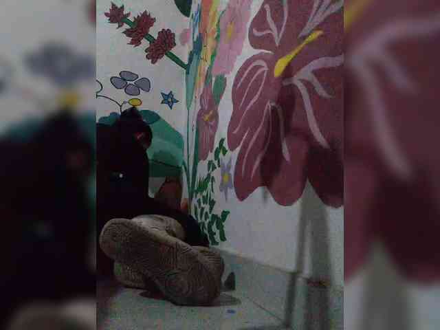 theplayful