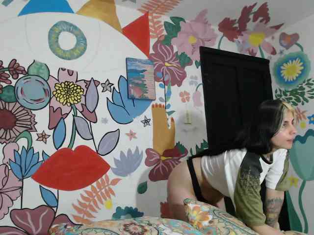 theplayful webcam