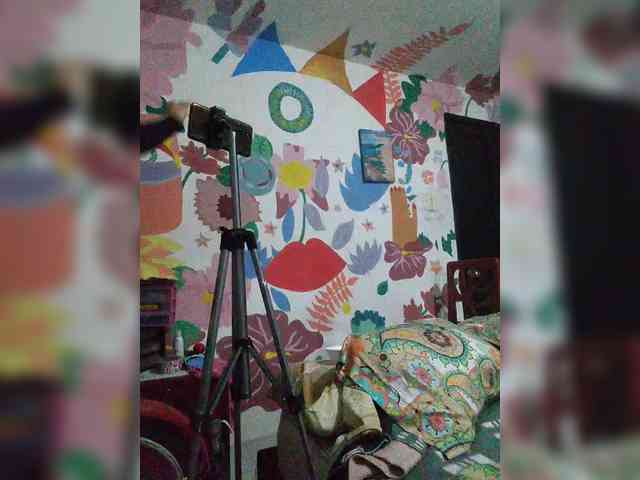 theplayful webcam