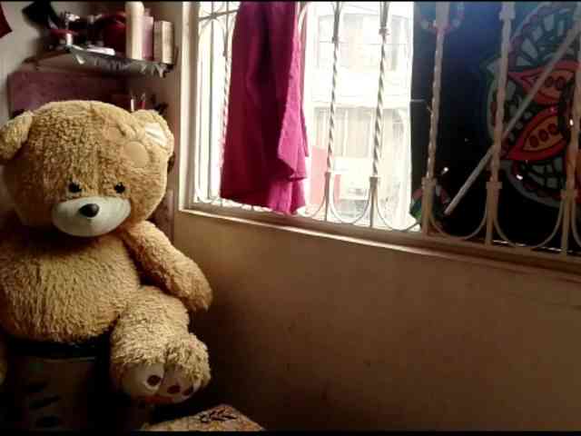 theplayful webcam