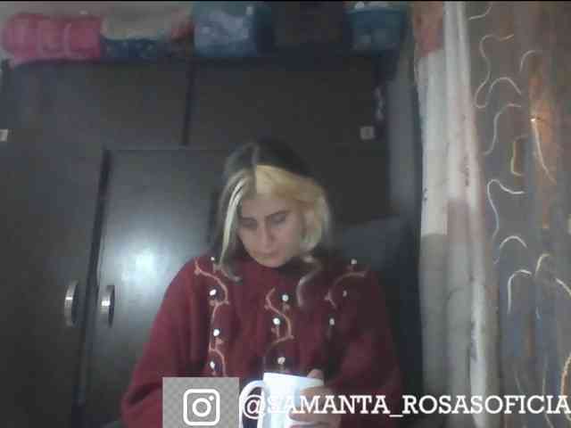 theplayful webcam