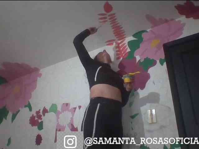 theplayful webcam