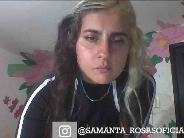 theplayful webcam