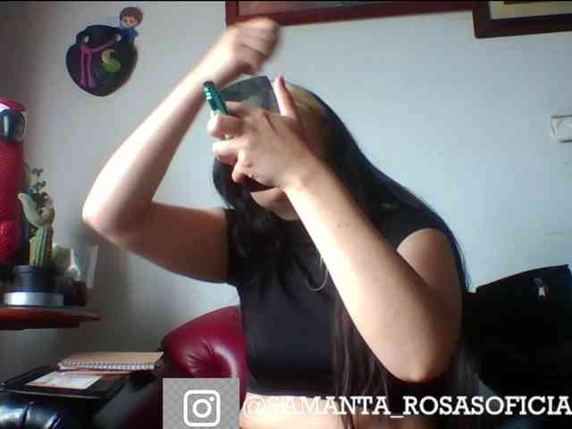 theplayful webcam