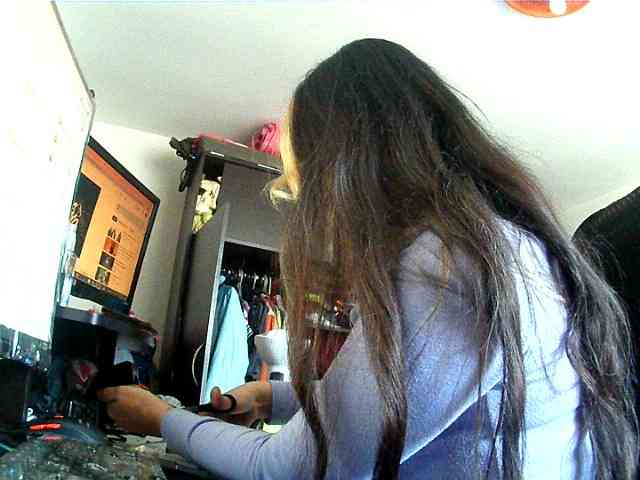 theplayful webcam
