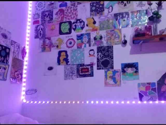 theplayful webcam