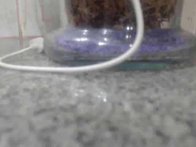 Seductivedirt webcam