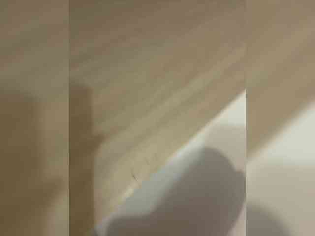 PaulinRoss webcam