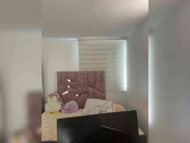 PaulinRoss webcam