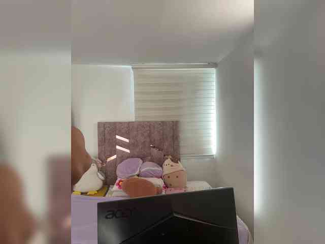 PaulinRoss webcam