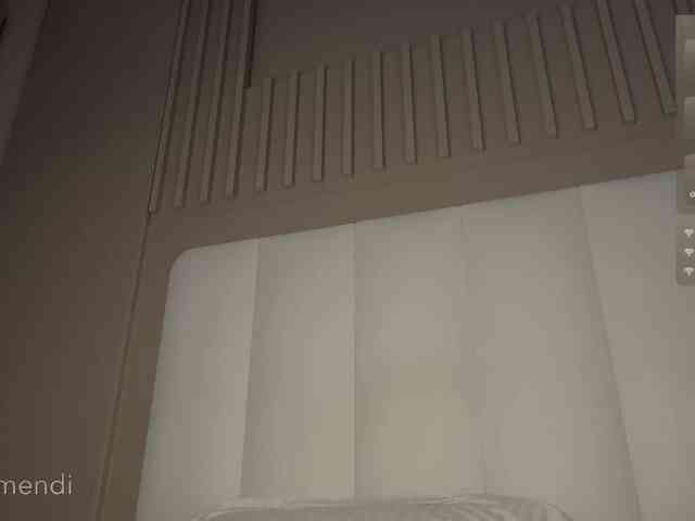 MENNDI webcam