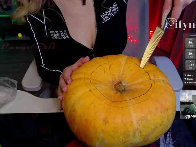 fymryn webcam