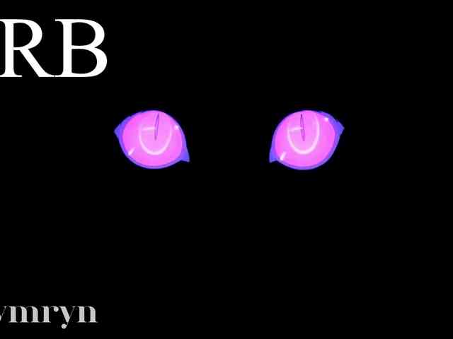 fymryn webcam