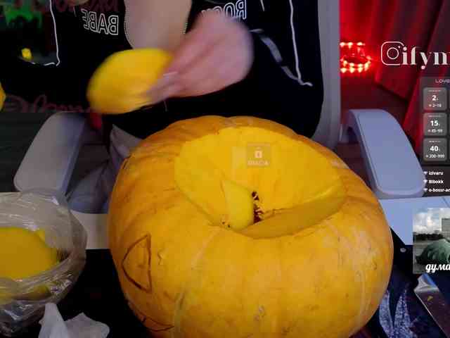 fymryn webcam