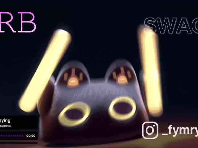 fymryn webcam