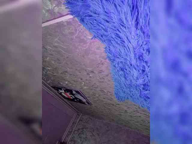 Nata17-1 webcam