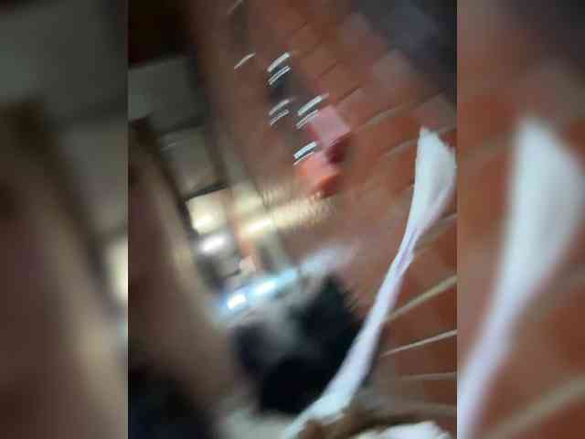 Tvoyasamka77 webcam