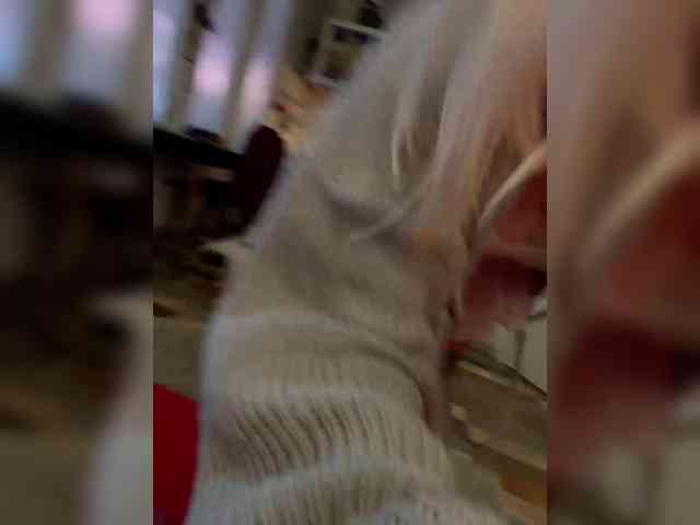 Tvoyasamka77 webcam