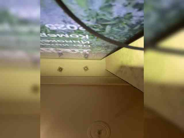 Tvoyasamka77 webcam