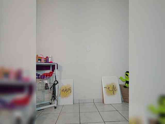 Anjinhas webcam
