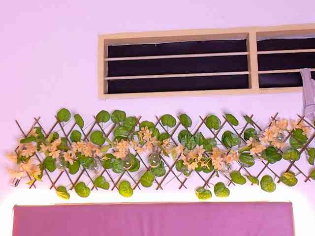 choco-dessert webcam